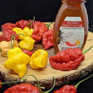 Spicy Honey – Honey Next Door Spicy Honey – Honey Next Door