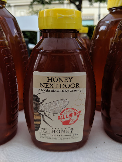 Georgia Raw Gallberry Honey